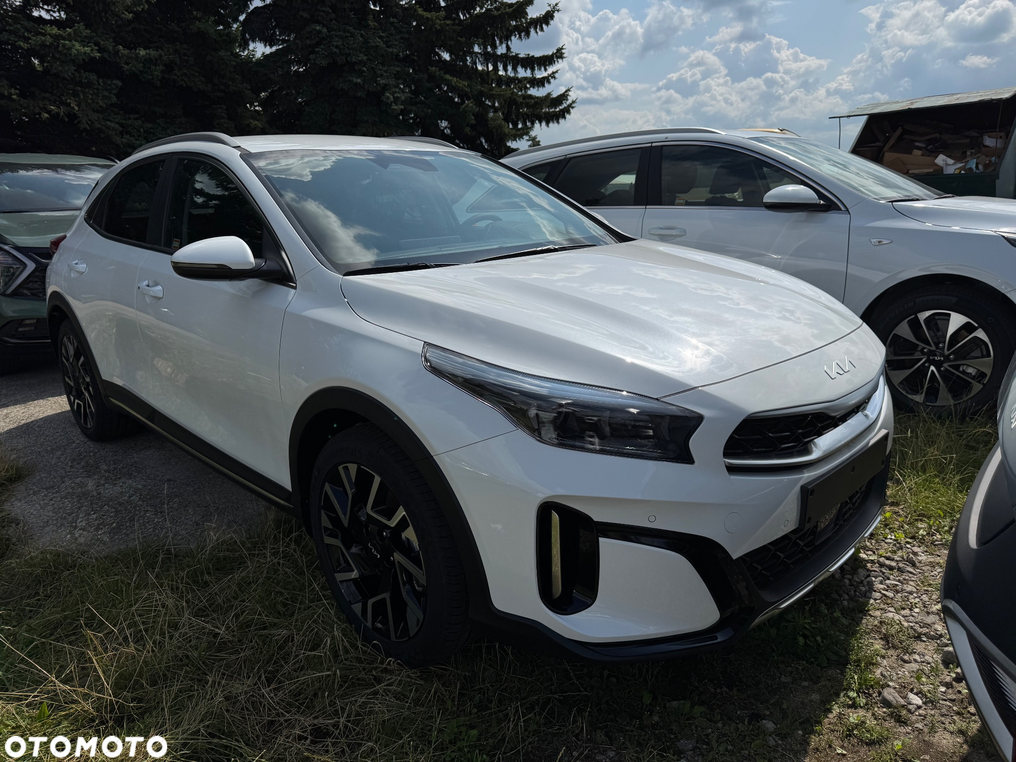 Kia XCeed 1.5 T-GDI Business Line DCT - 2