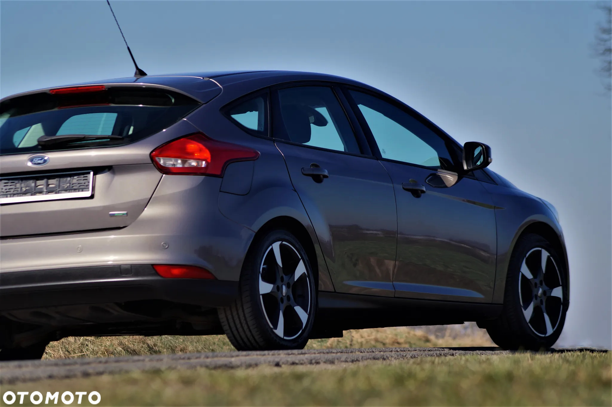 Ford Focus - 17
