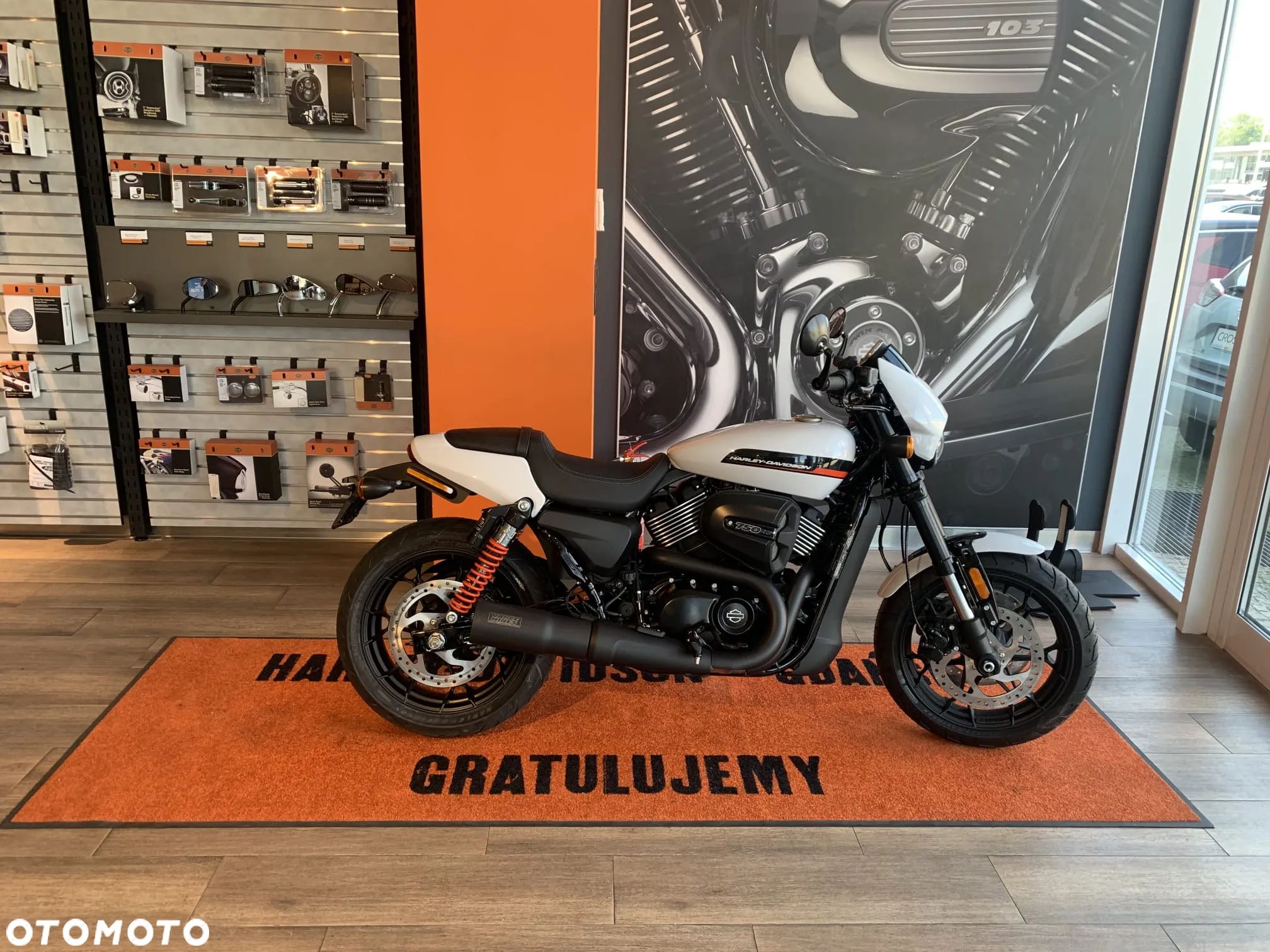 Harley-Davidson Street 750 - 1