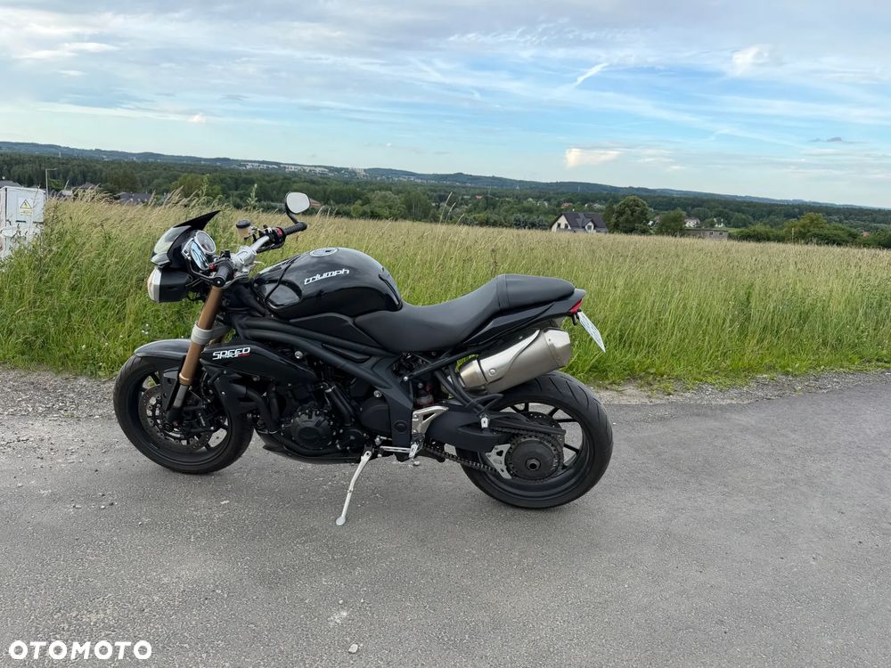 Triumph Speed Triple - 8