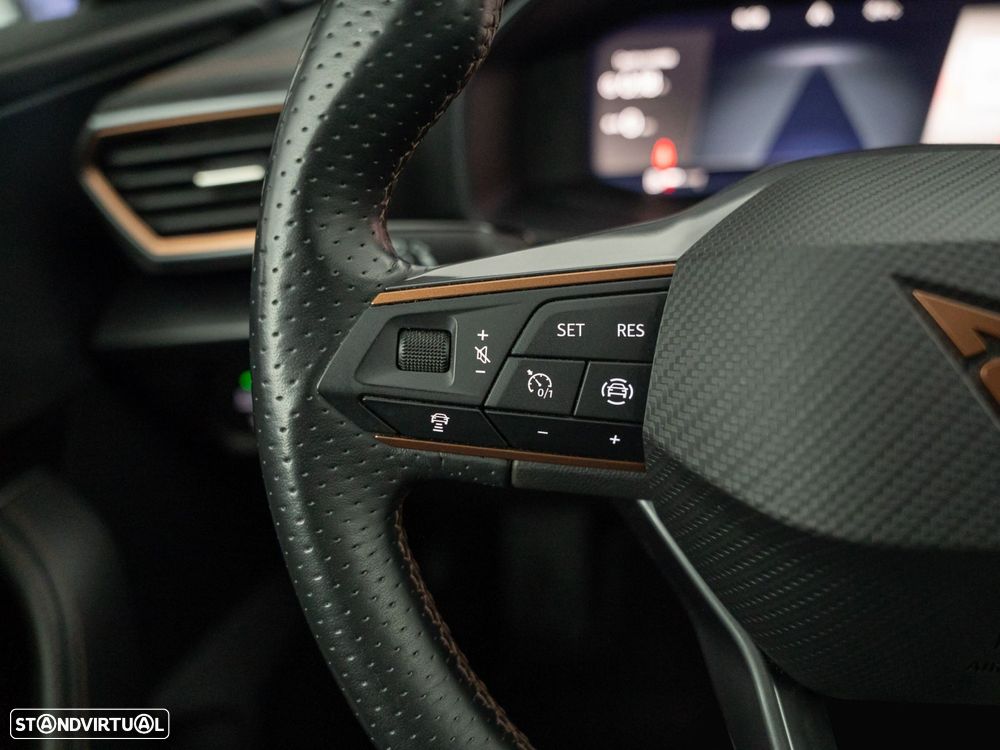 Cupra Formentor 2.0 TDI - 22