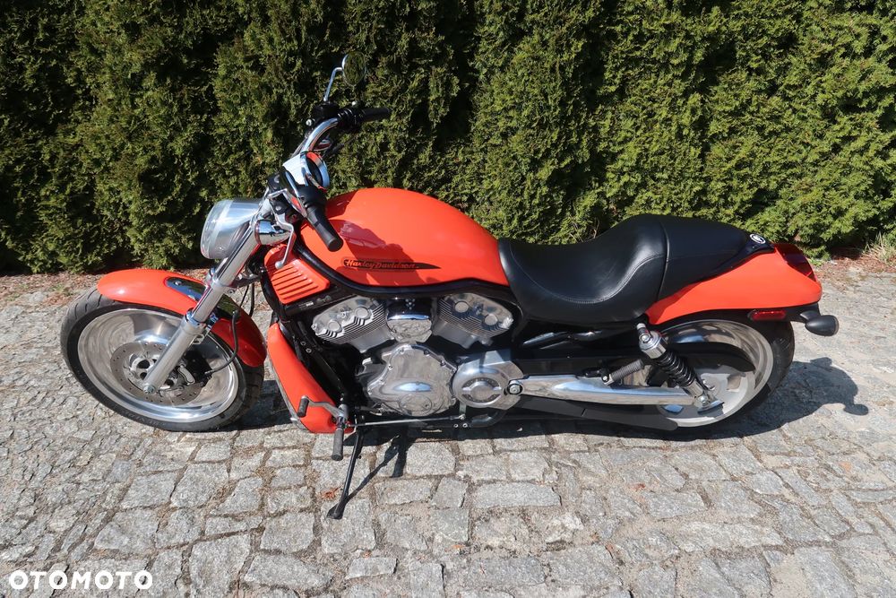 Harley-Davidson V-Rod Night Rod - 16