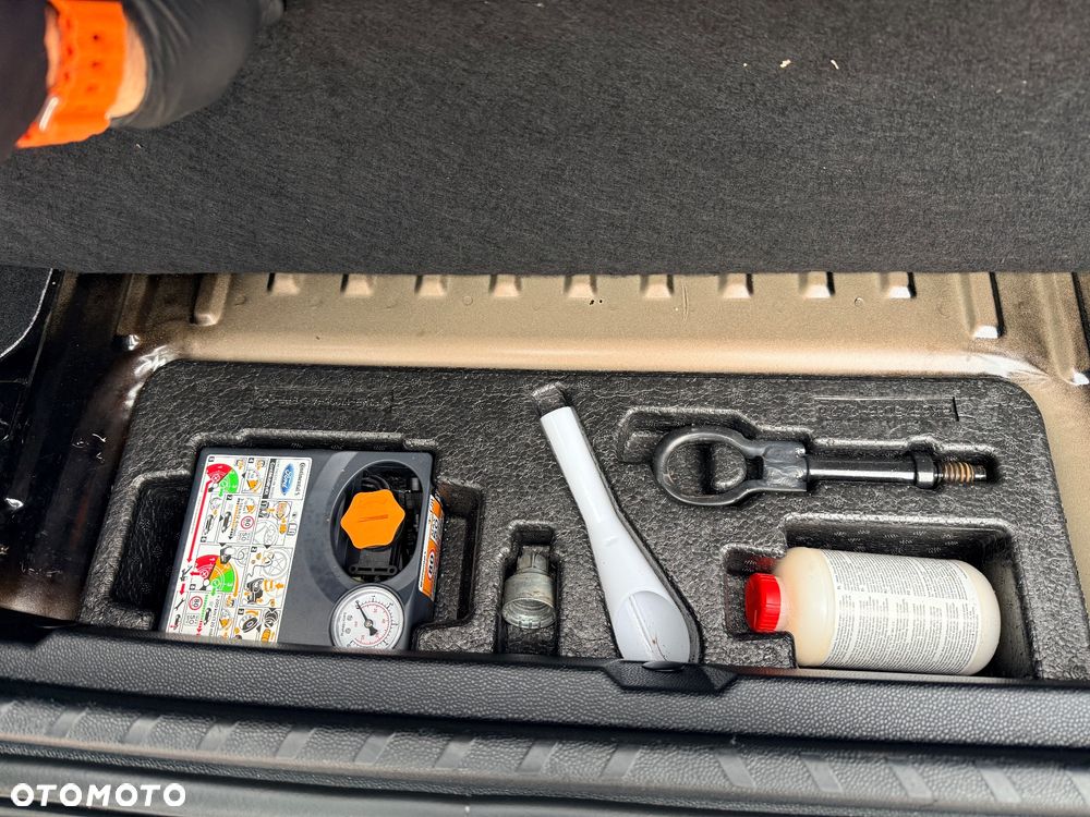 Ford EcoSport 1.0 EcoBoost ST-Line Black ASS - 30