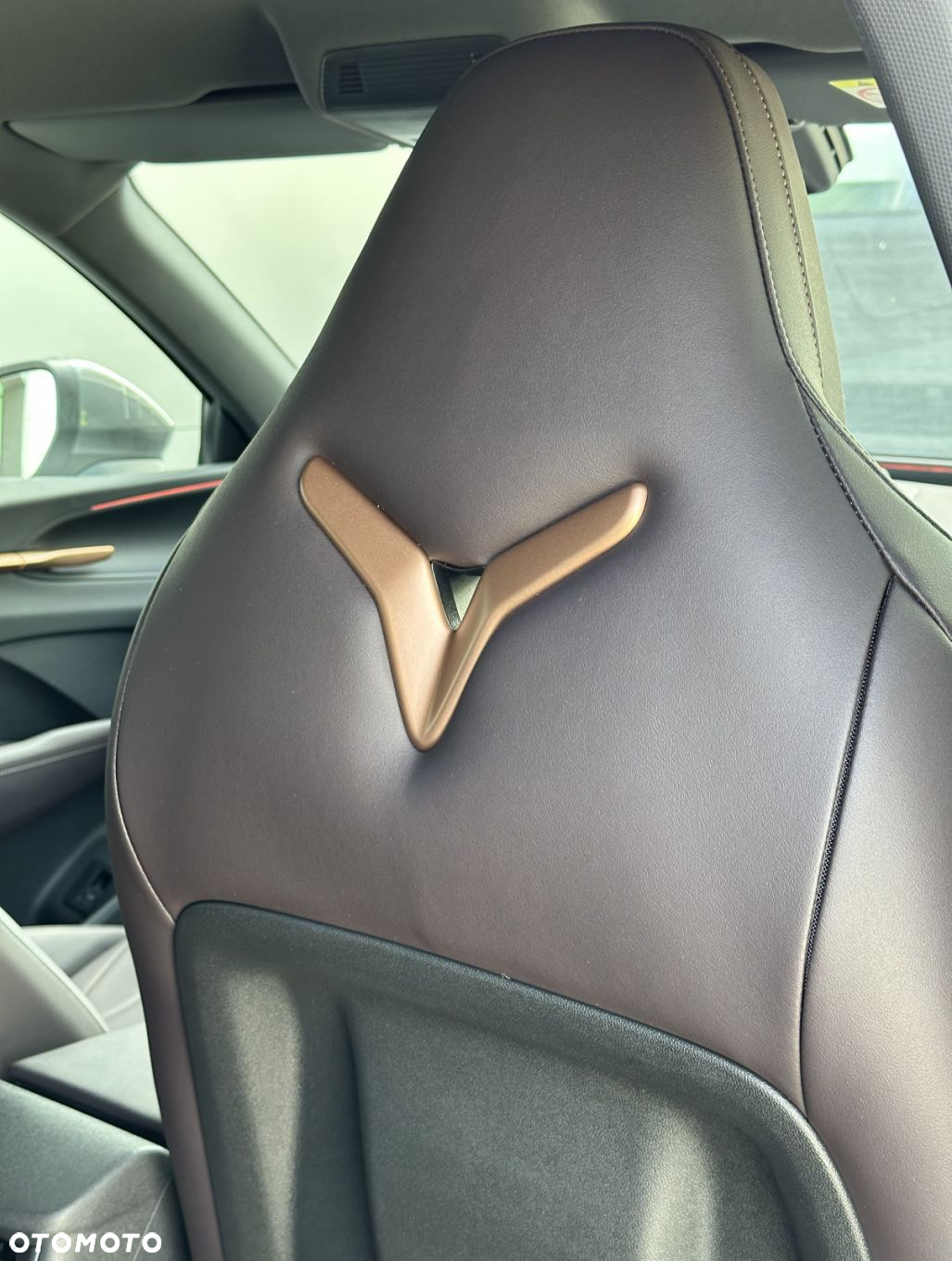 Cupra Terramar - 30