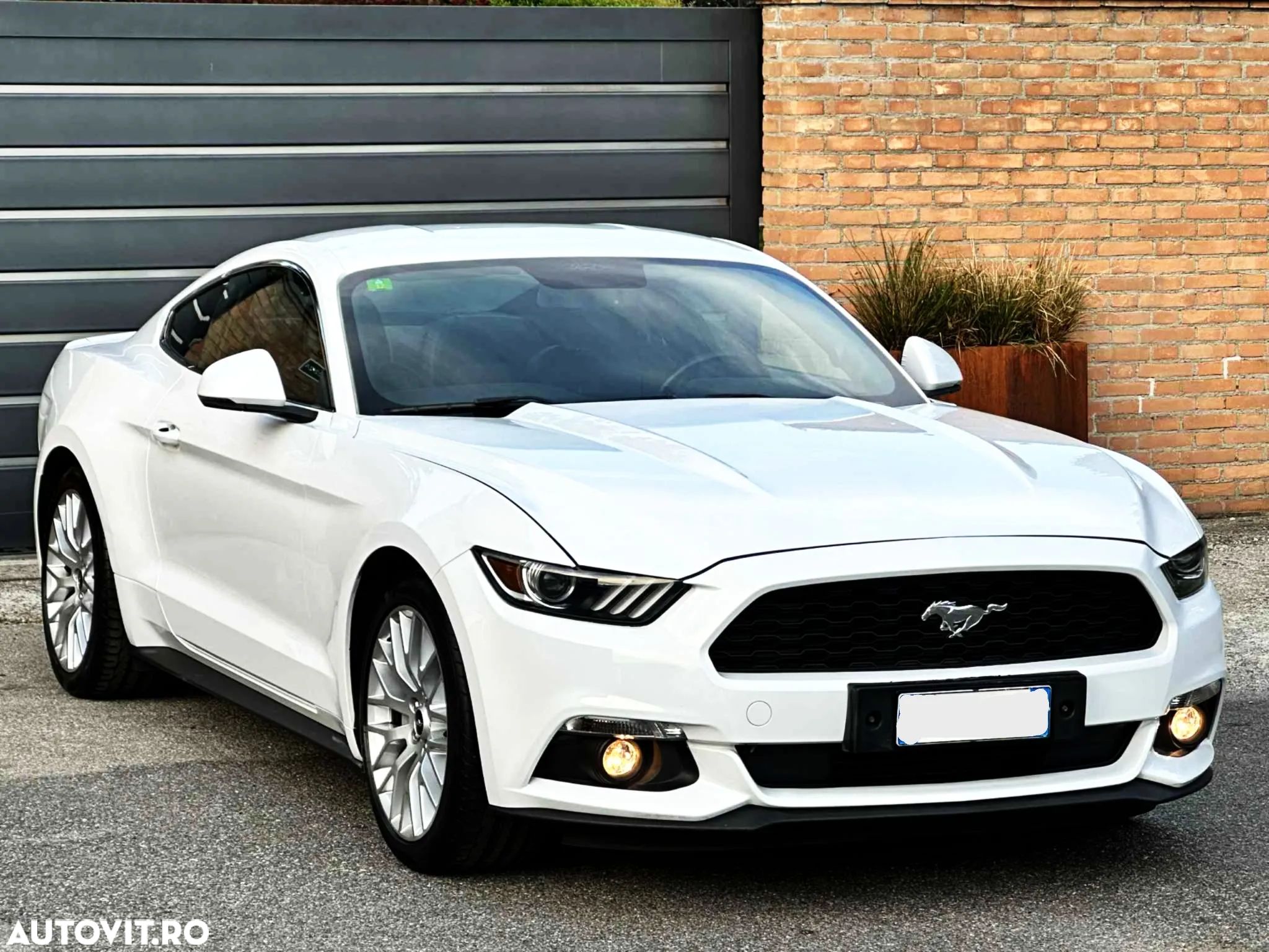 Ford Mustang 2.3 Eco Boost Aut. - 1