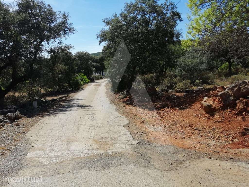 Terreno com 4.300m2 de área e projeto aprovado para construção de 9... - Grande imagem: 3/15