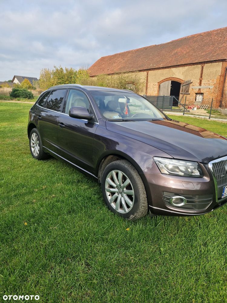 Audi Q5 2009 photo 2