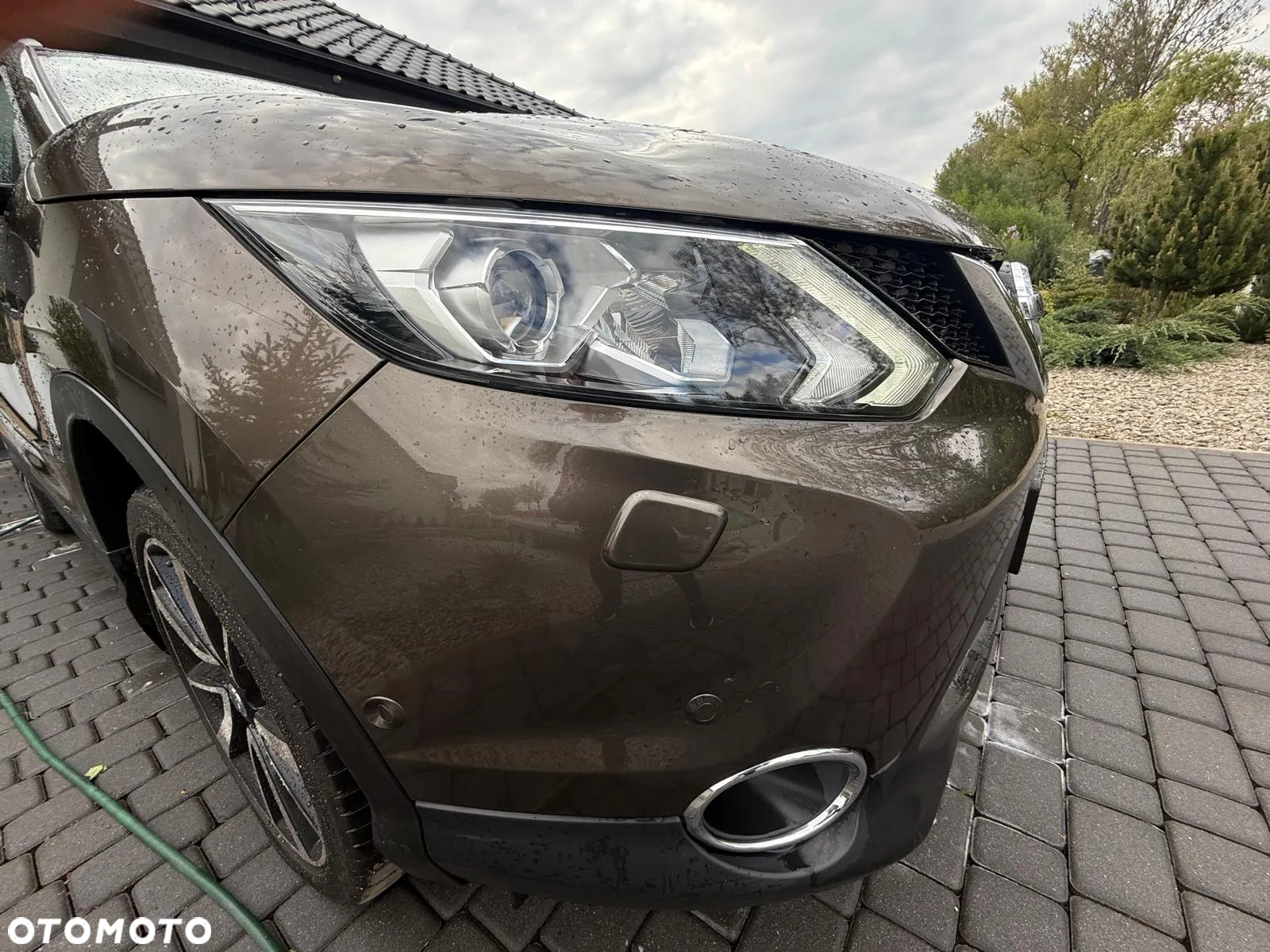 Nissan Qashqai 1.6 dCi DPF tekna - 8