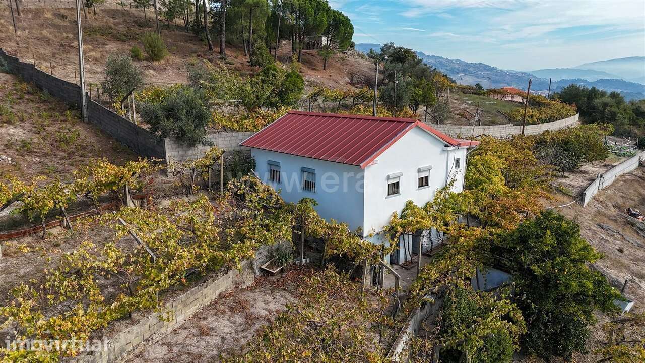 Quintinha T3 / Baião, Santa Cruz do Douro e São Tomé de Covelas - Grande imagem: 5/20
