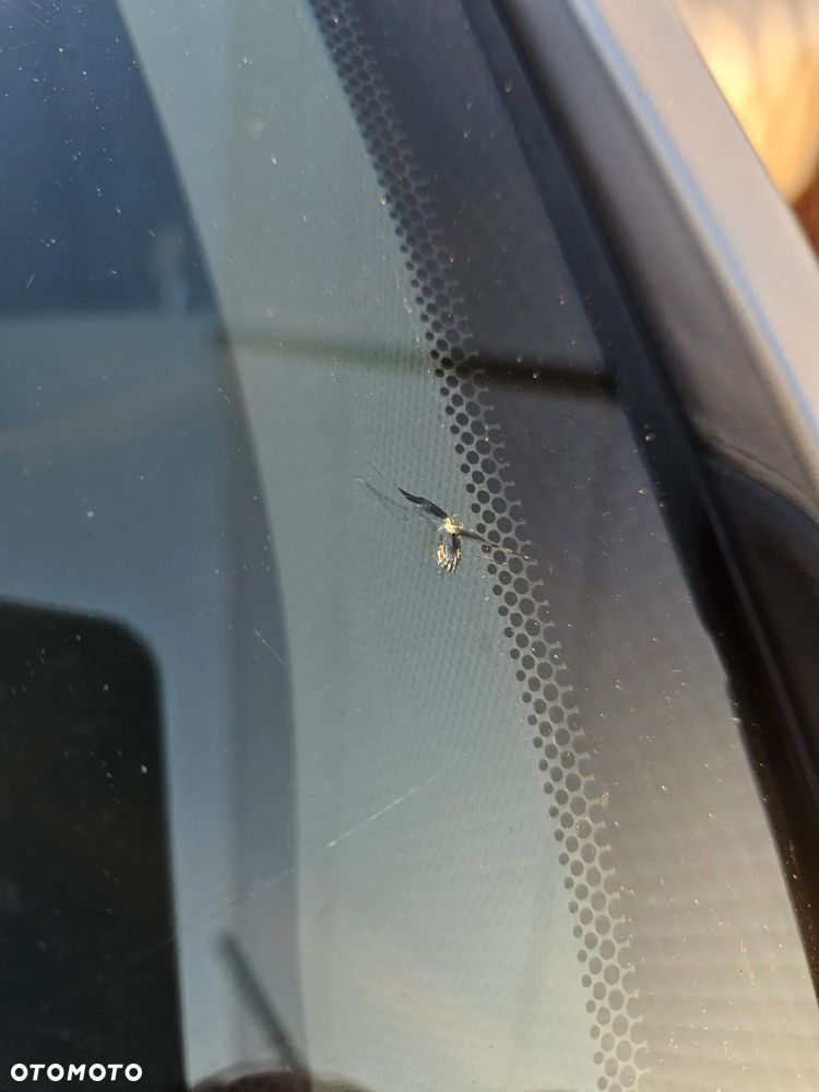 Toyota Verso 1.8 2010 7os - 37