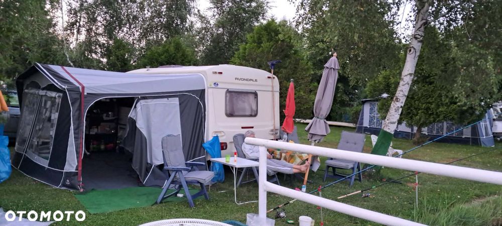 Avondale AVOCET - 28
