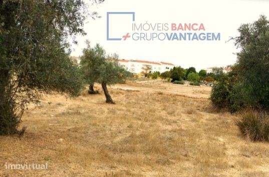 Terreno com 8,750m² e PIP aprovado, localizado em zona de expansão ... - Grande imagem: 2/13