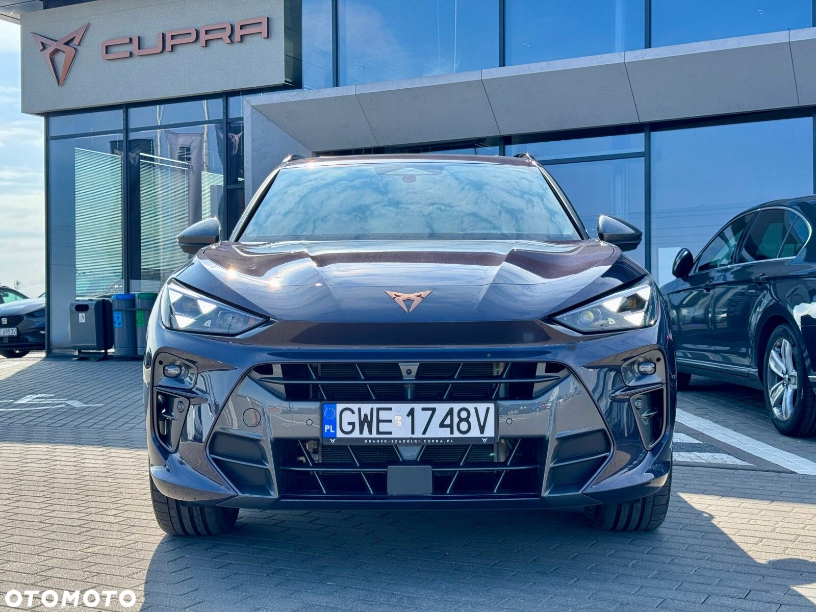 Cupra Terramar - 8