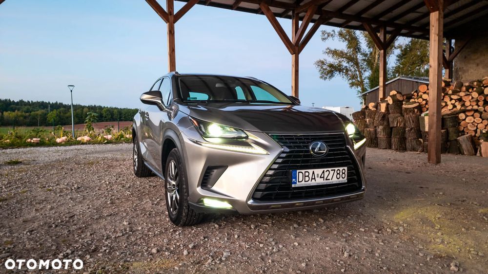 Lexus NX 300 Optimum AWD - 1