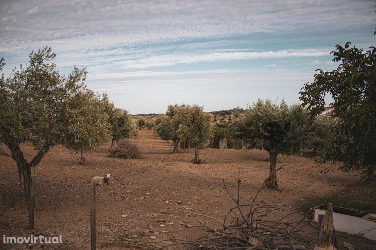 TERRENO MISTO COM 1,65 HA PARA VENDA EM PORTEL - Grande imagem: 5/16
