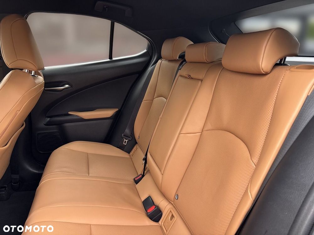 Lexus UX 300h Omotenashi - 22