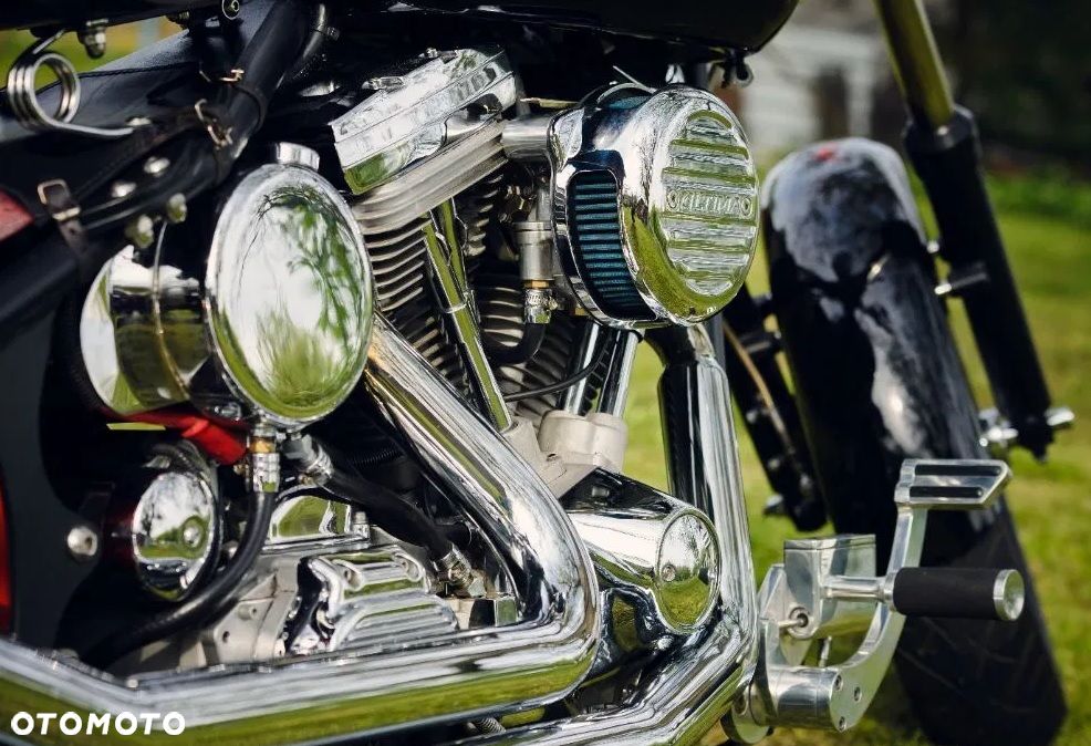 Harley-Davidson Softail Custom - 11