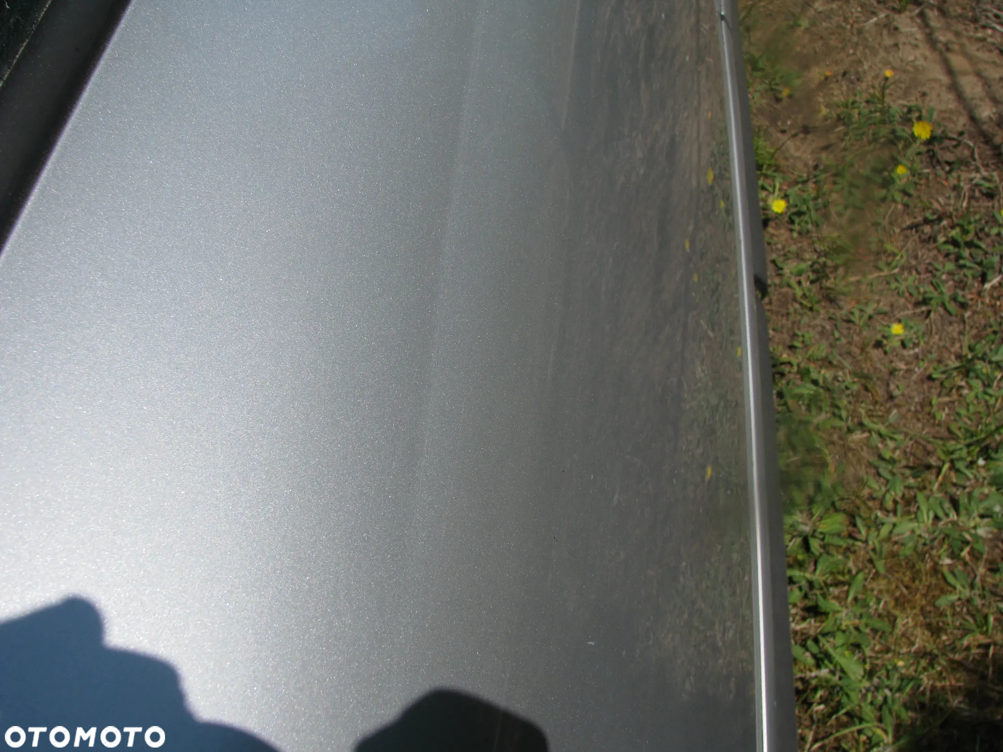 DRZWI PRAWY TYŁ AUDI A3 8L LY7W  DRZWI PRAWY TYŁ AUDI A3 8L LY7W LIFT - 5