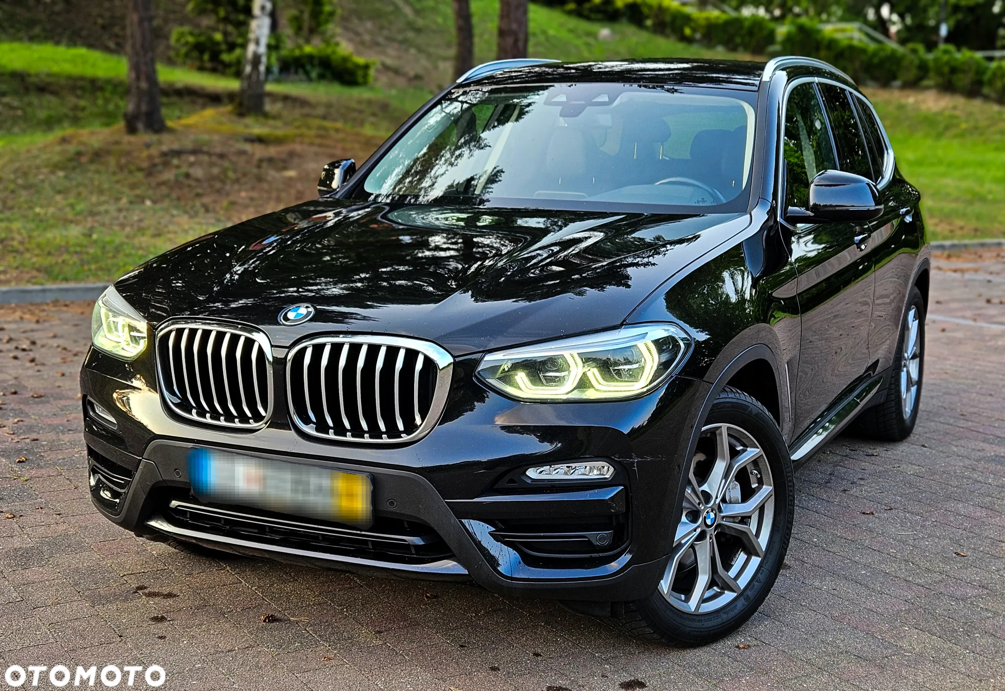 BMW X3 xDrive30d xLine - 2