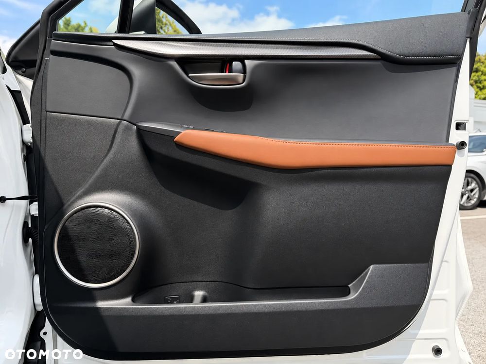 Lexus NX - 17