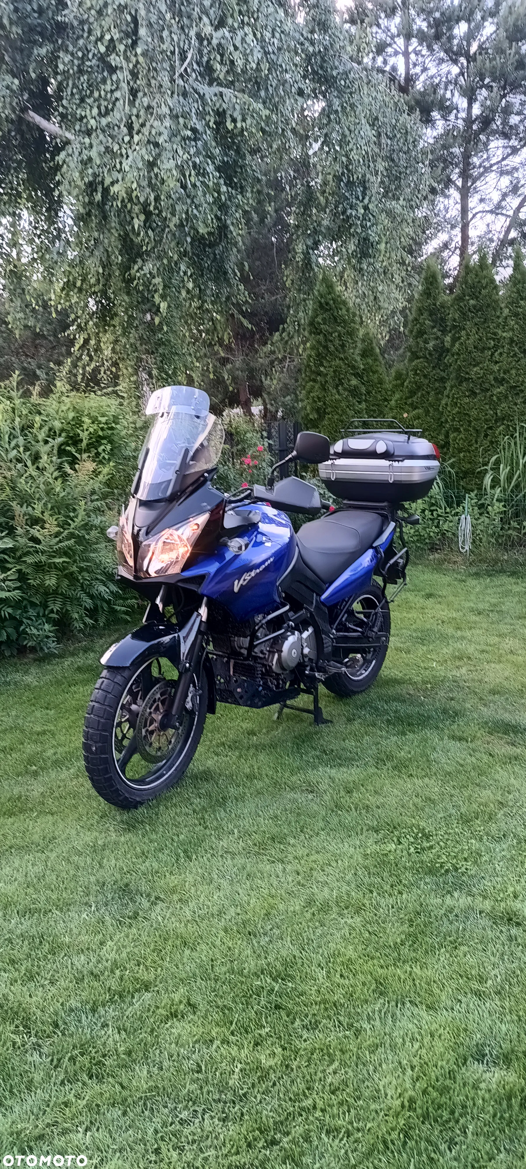 Suzuki DL - 8