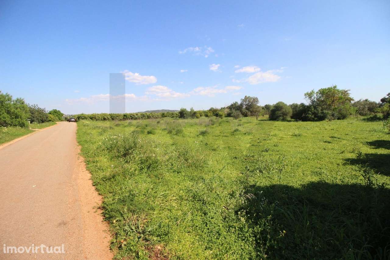 Terreno rustico com 8610 m2, Barranco Longo, Algoz - Grande imagem: 5/20