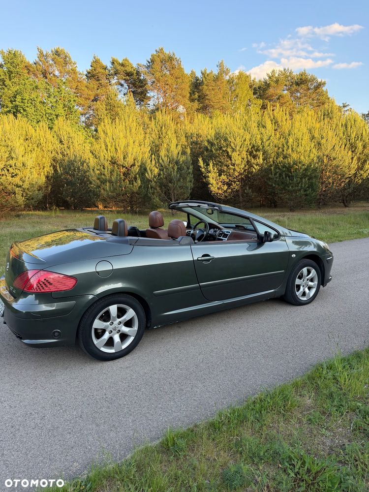 Peugeot 307 CC 2.0 Intense - 6
