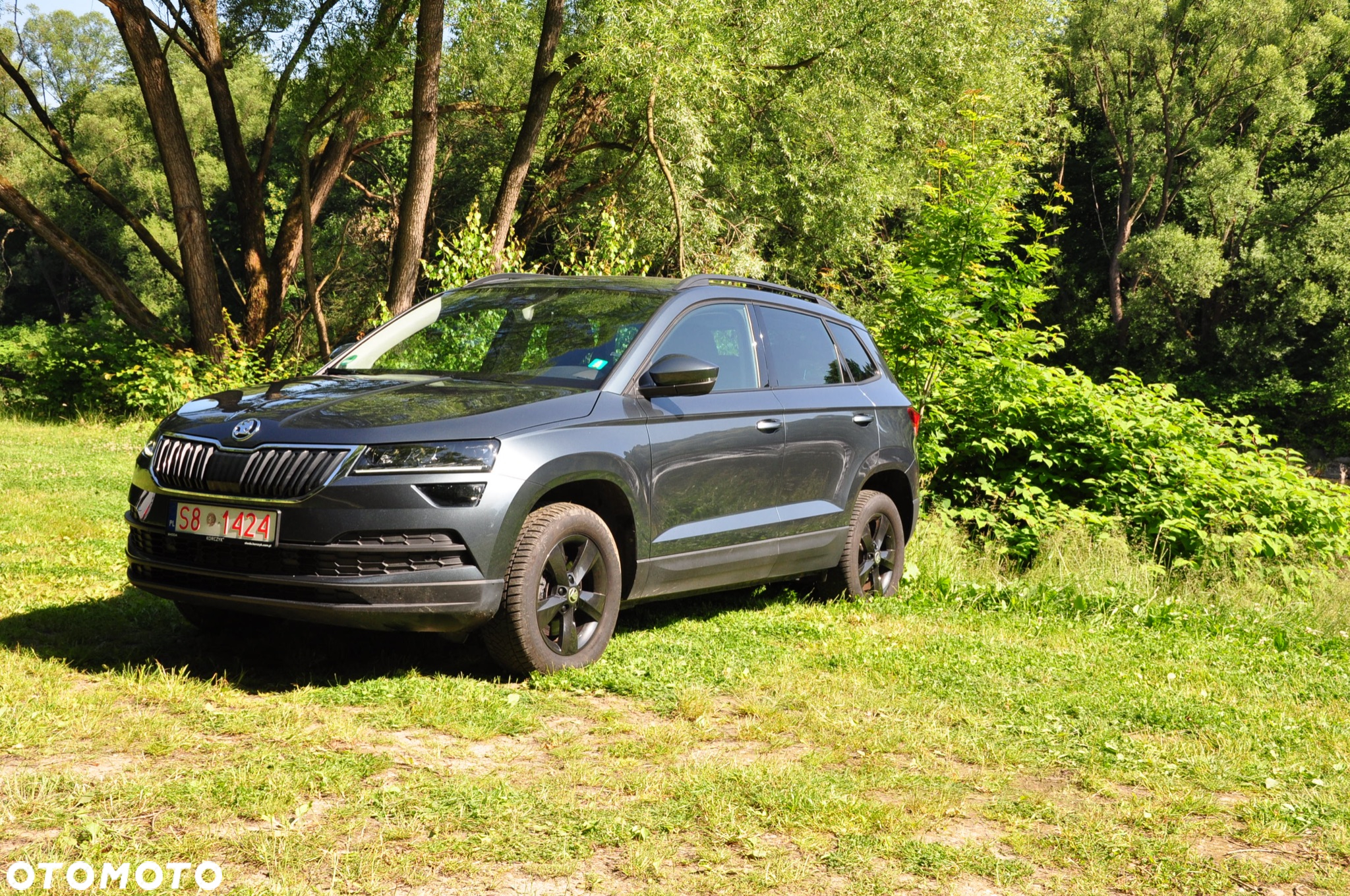 Skoda Karoq 2.0 TDI 4x4 DSG Drive - 22