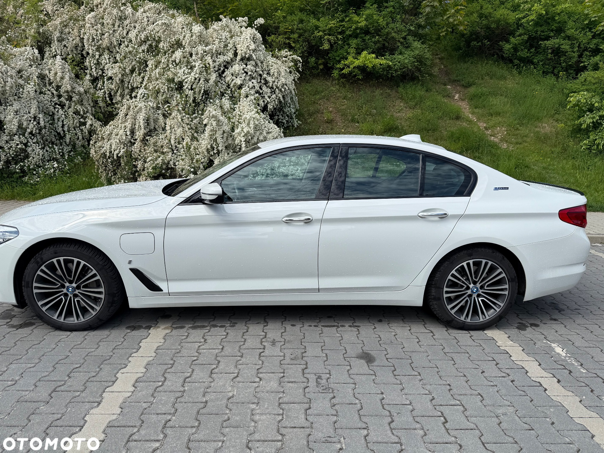 BMW Seria 5 - 3