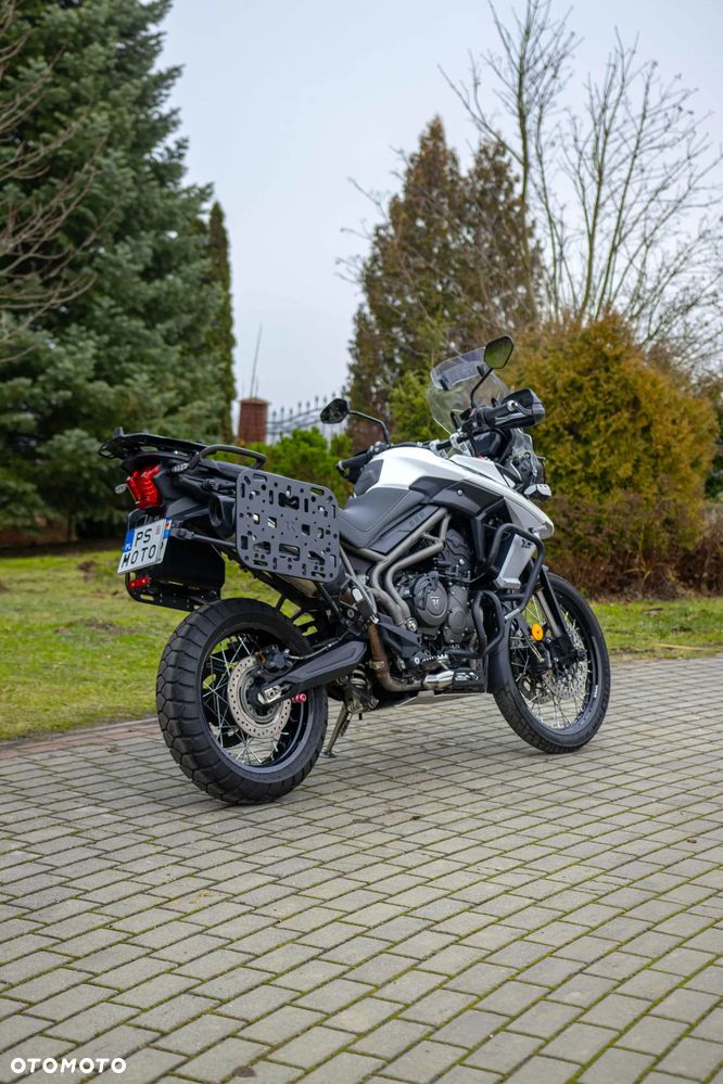 Triumph Tiger - 4
