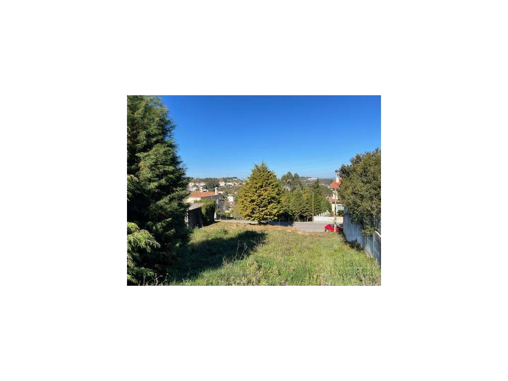 Lote de terreno com vistas para a cidade - Carvalhais - Grande imagem: 5/9