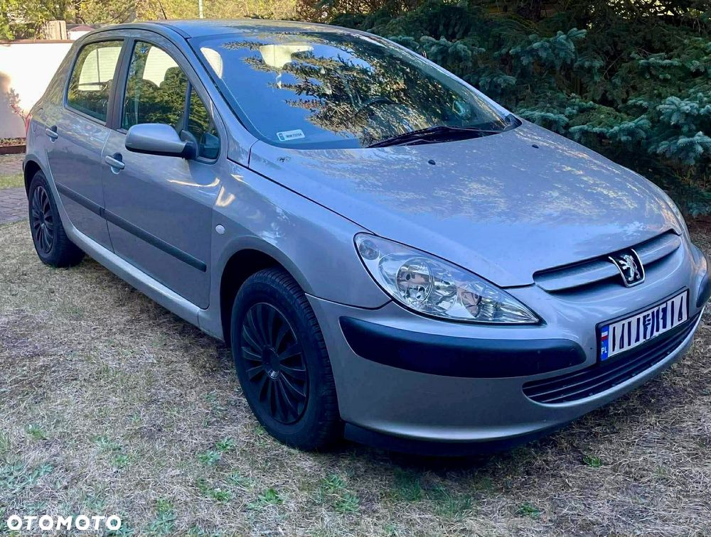 Peugeot 307 1.6 XS - 1