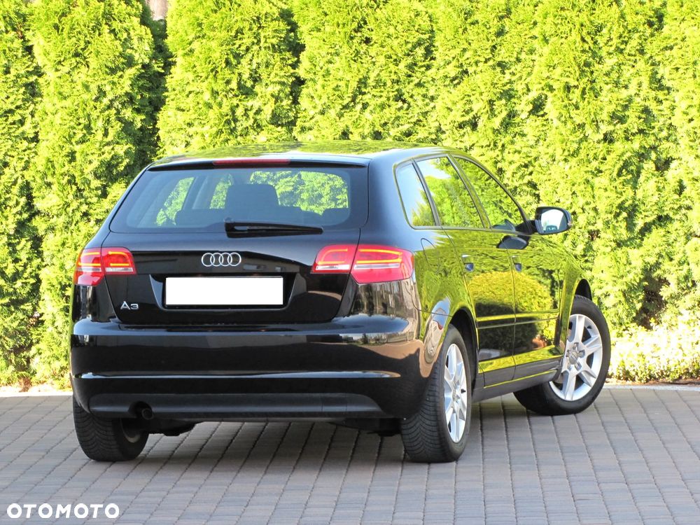 Audi A3 Sportback 1.6 Ambiente - 19