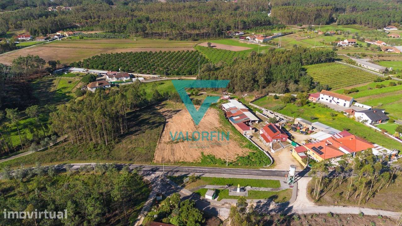 TERRENO com 2.400 m², totalmente plano, para construção - Grande imagem: 5/5