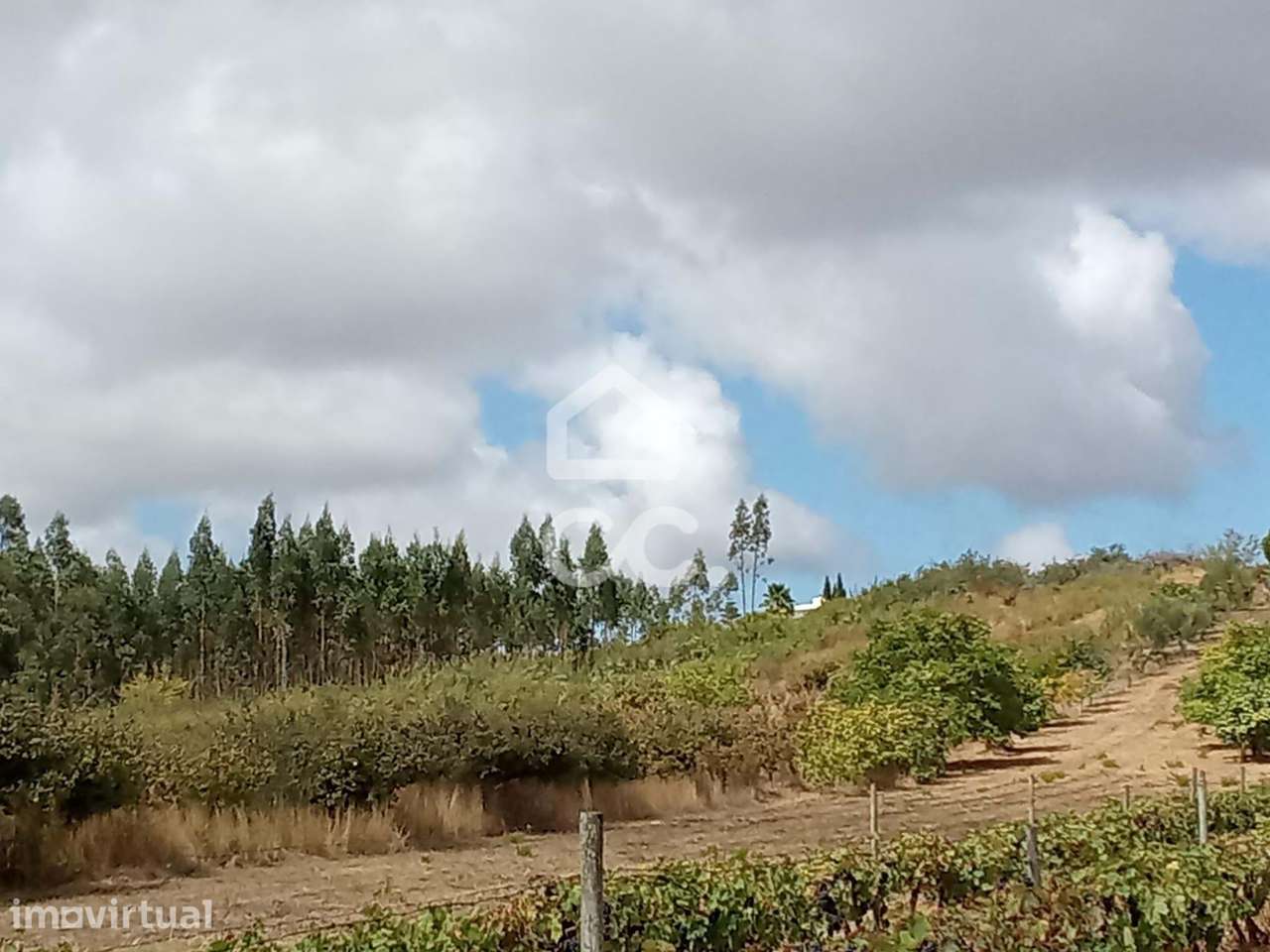 Fantástico terreno agrícola, localizado na freguesia de Roliça, no con - Grande imagem: 2/27
