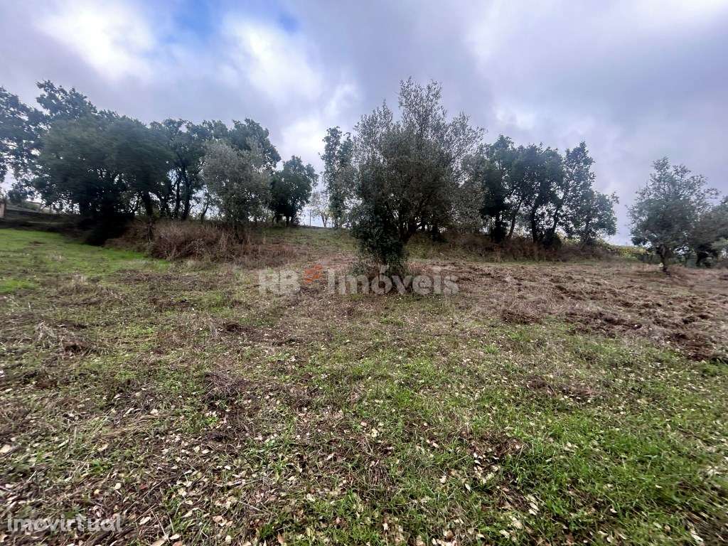 2 terrenos rústicos com 7160m2 - Aboboreira Fundeira, Tomar - Grande imagem: 2/19