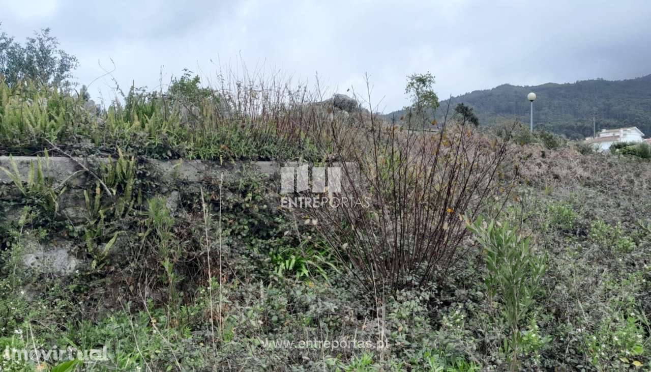 Venda de Lote para construção, Afife, Viana do Castelo - Grande imagem: 5/24