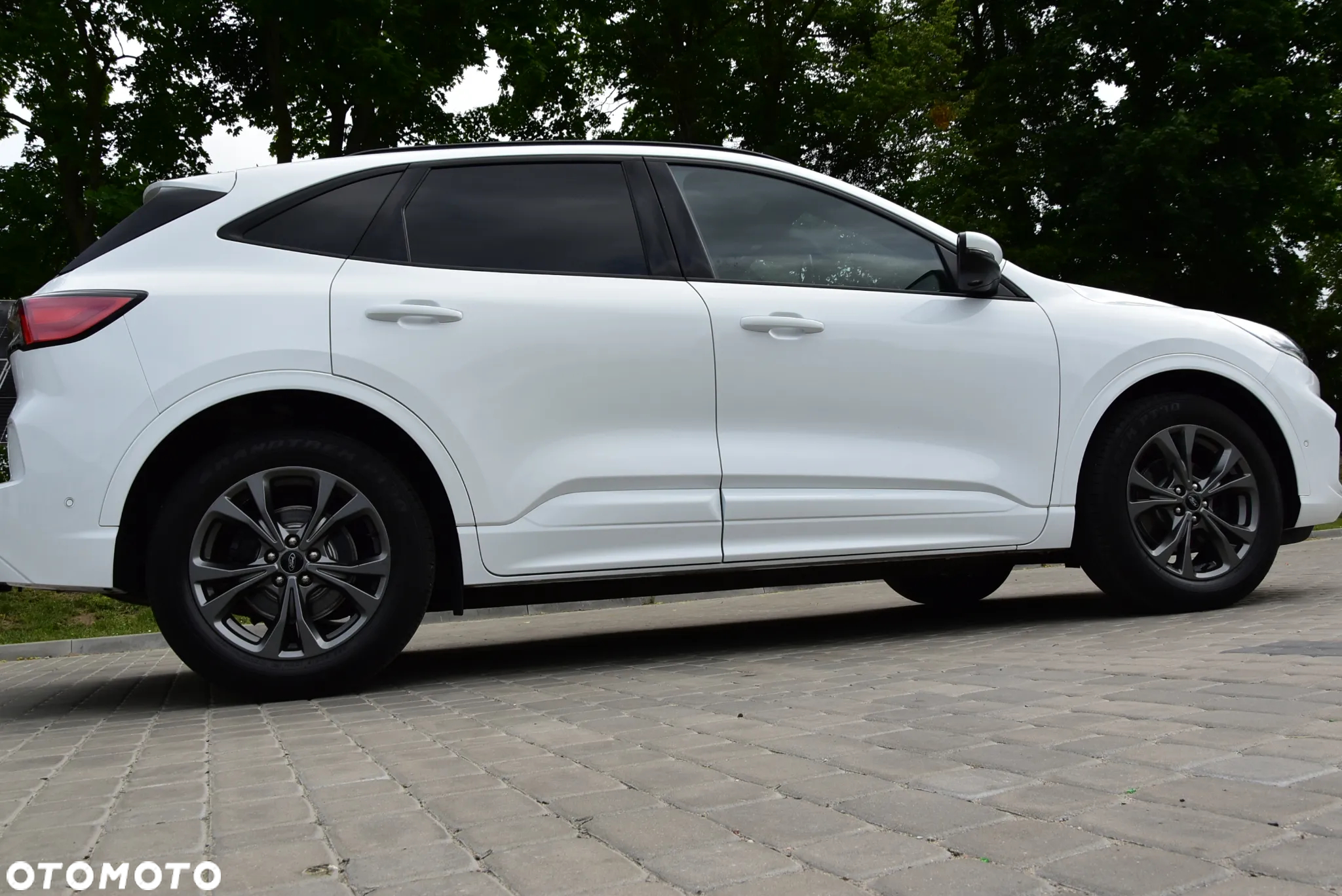 Ford Kuga 2.0 EcoBlue Hybrid ST-LINE X - 36
