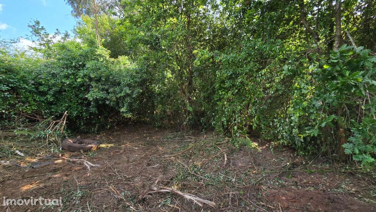 Terreno para Industria ou armazém e logradouro - Grande imagem: 4/15