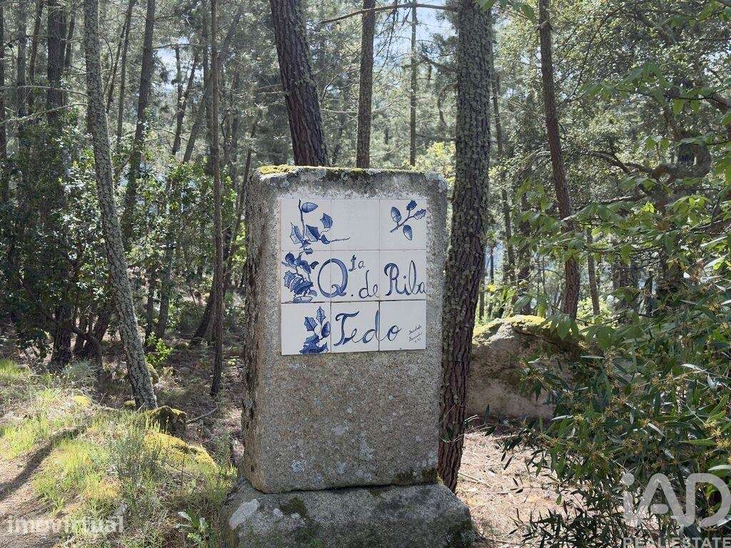 Quinta rural T4 em Longa de 99999 m2 - Grande imagem: 5/40