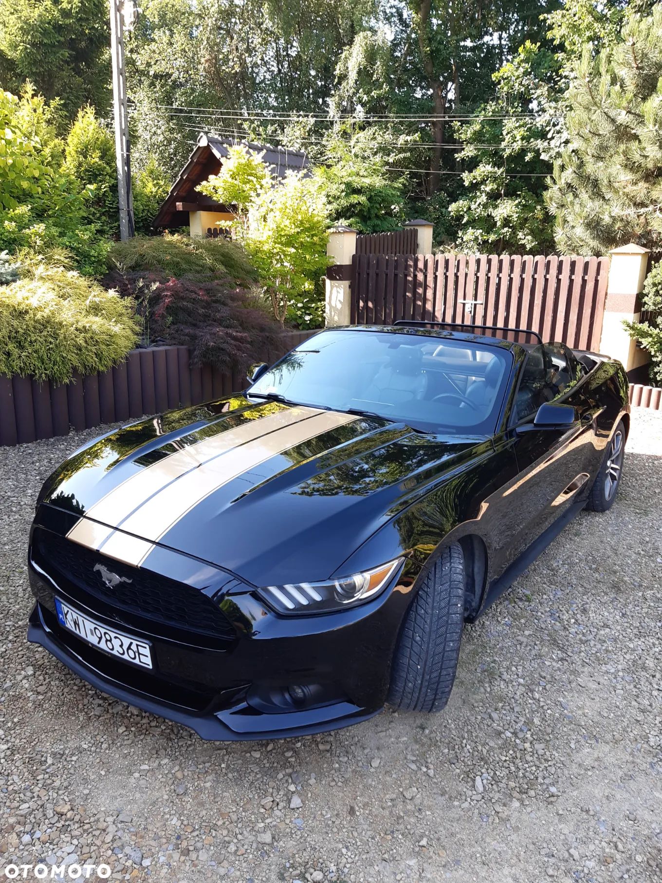 Ford Mustang Cabrio 2.3 Eco Boost - 1