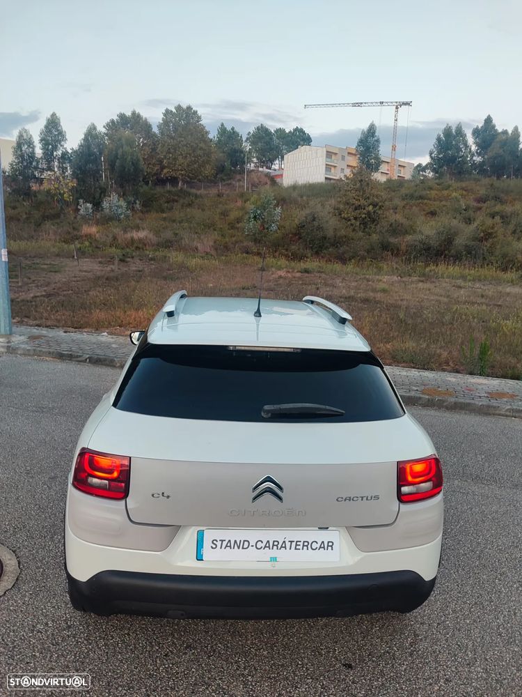 Citroën C4 Cactus 1.2 PureTech Rip Curl - 14