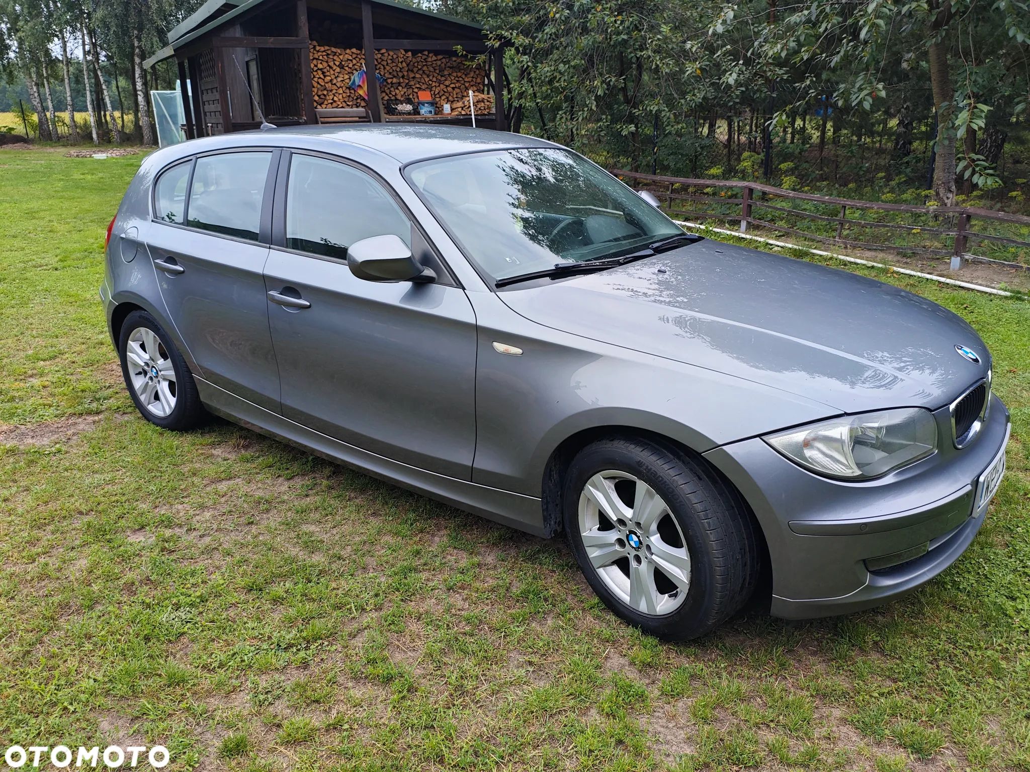 BMW Seria 1 116i - 1