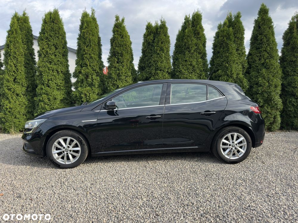 Renault Megane - 39