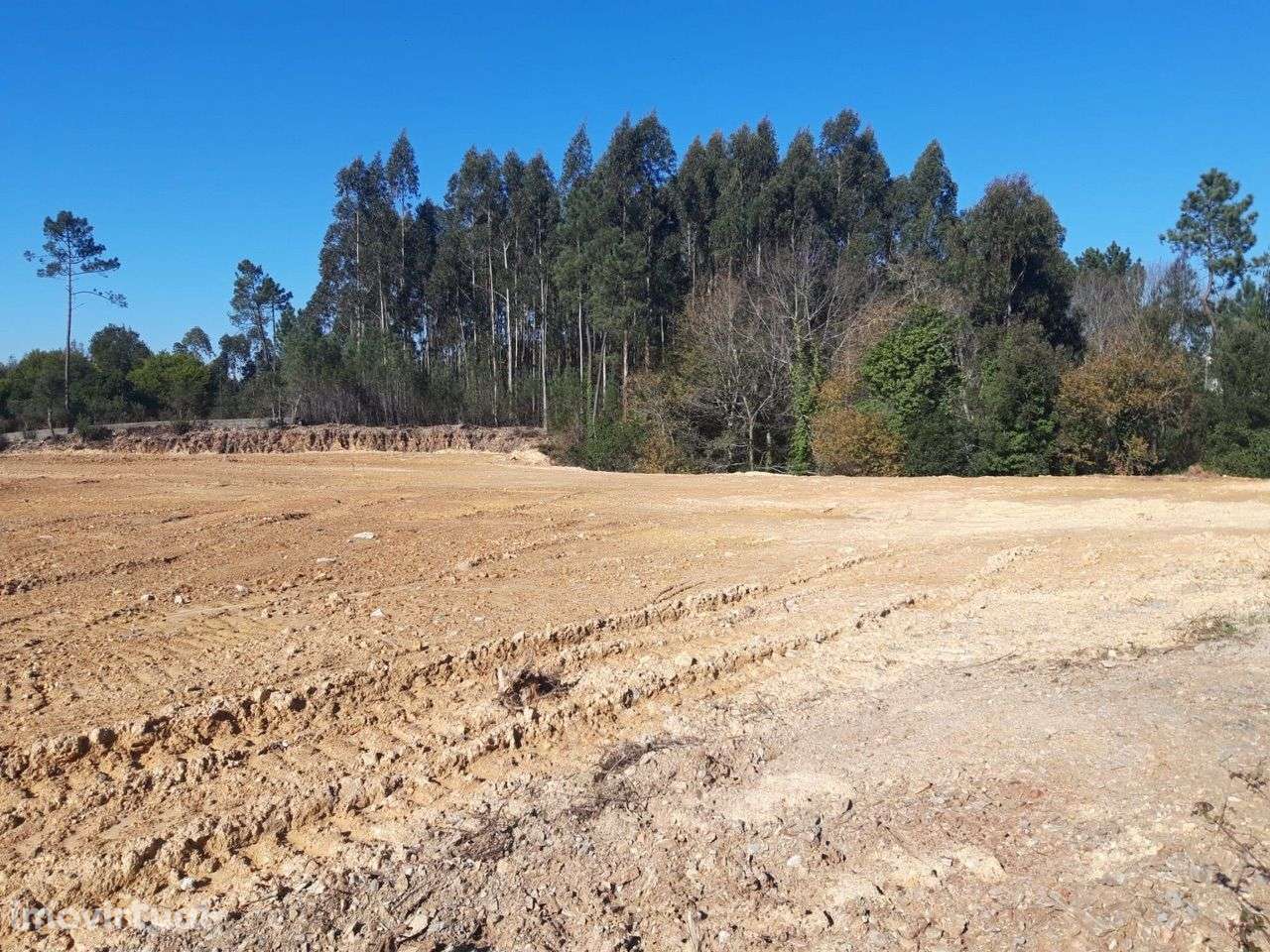 Terreno para construção em Aguiar de Sousa - Paredes - Grande imagem: 4/5