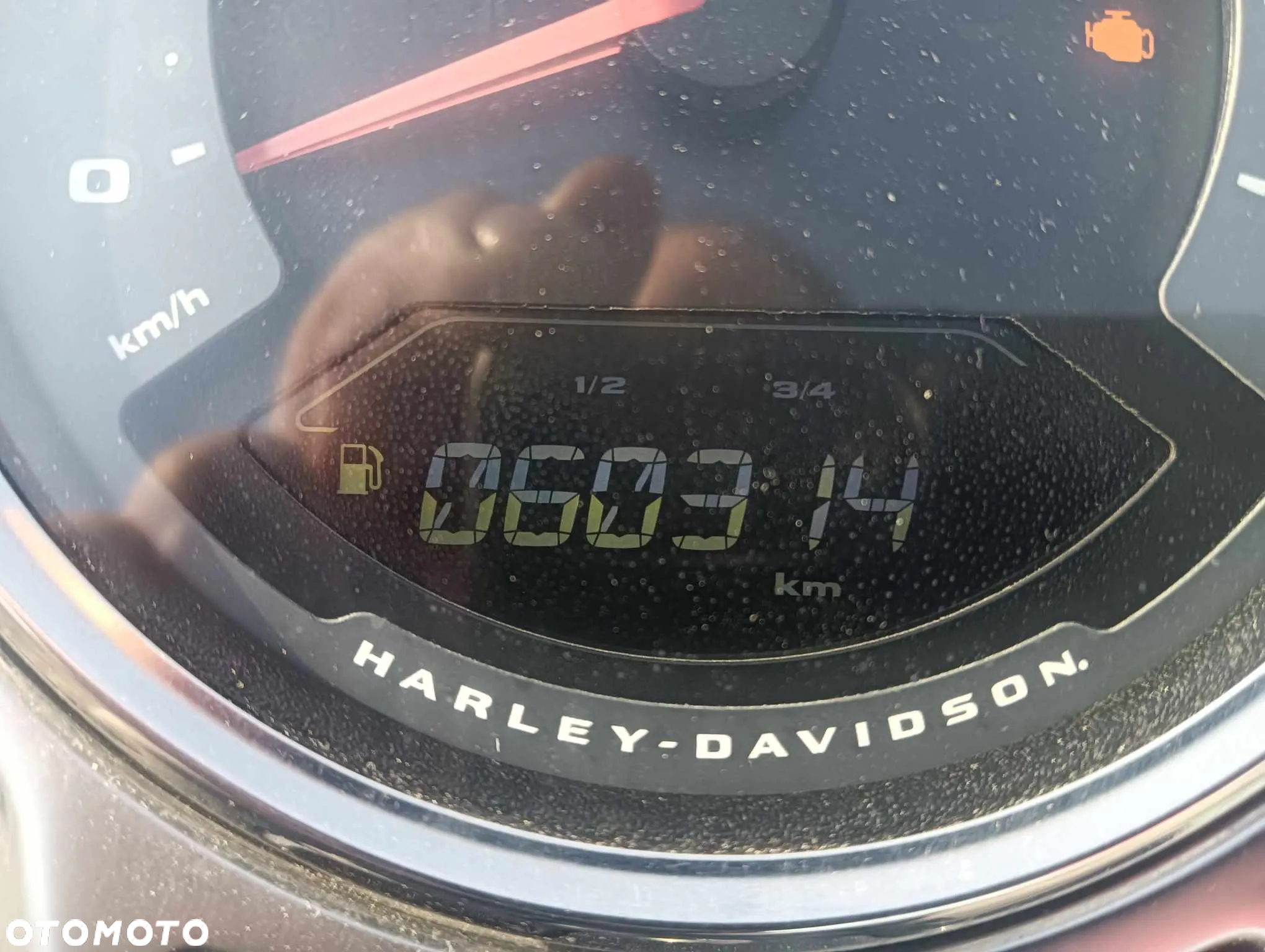 Harley-Davidson Softail Fat Boy - 9