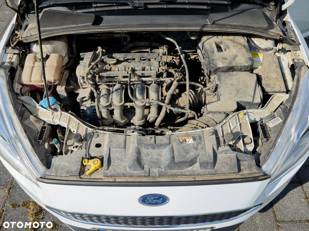 Ford Focus - 9