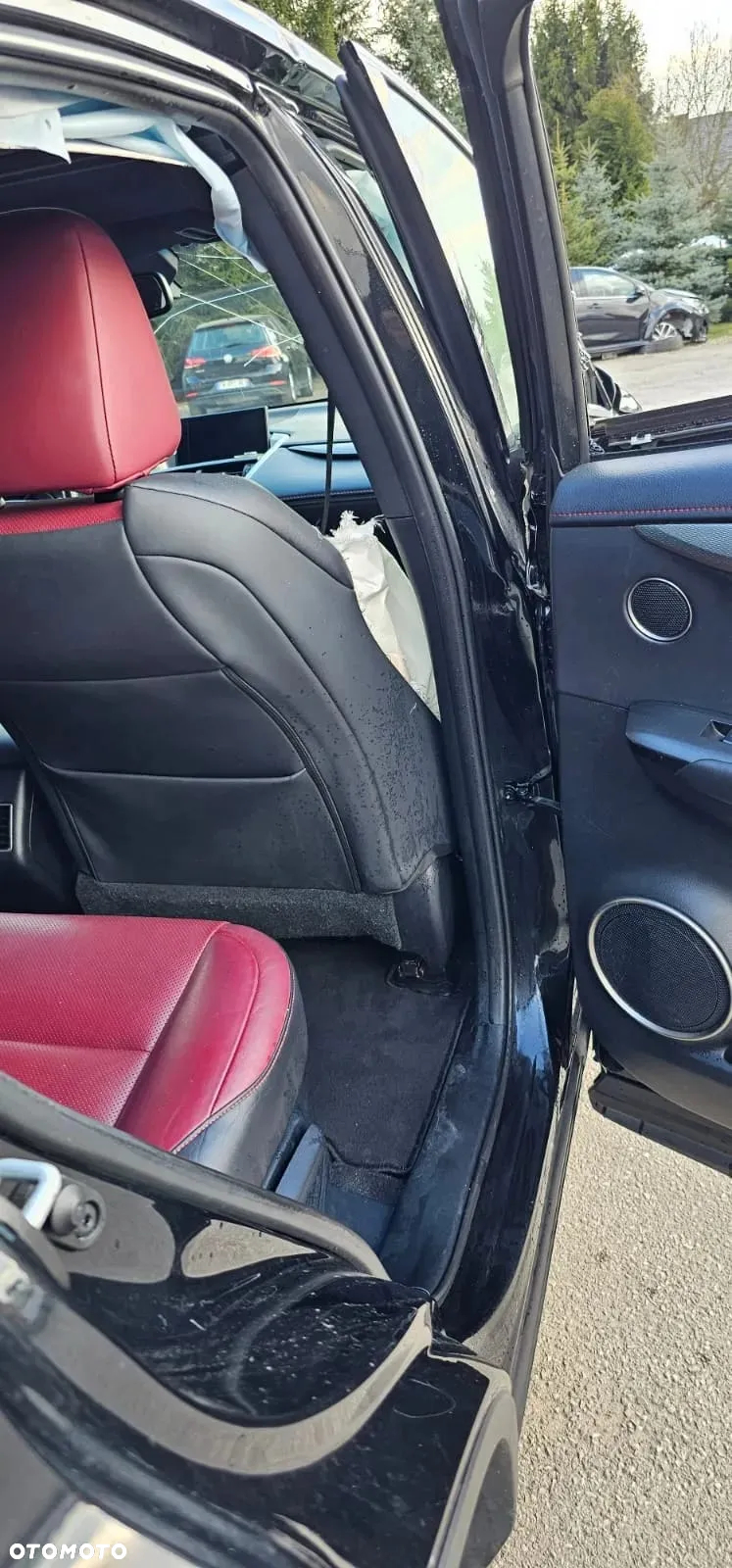 Lexus NX 300h F Sport Edition AWD - 21
