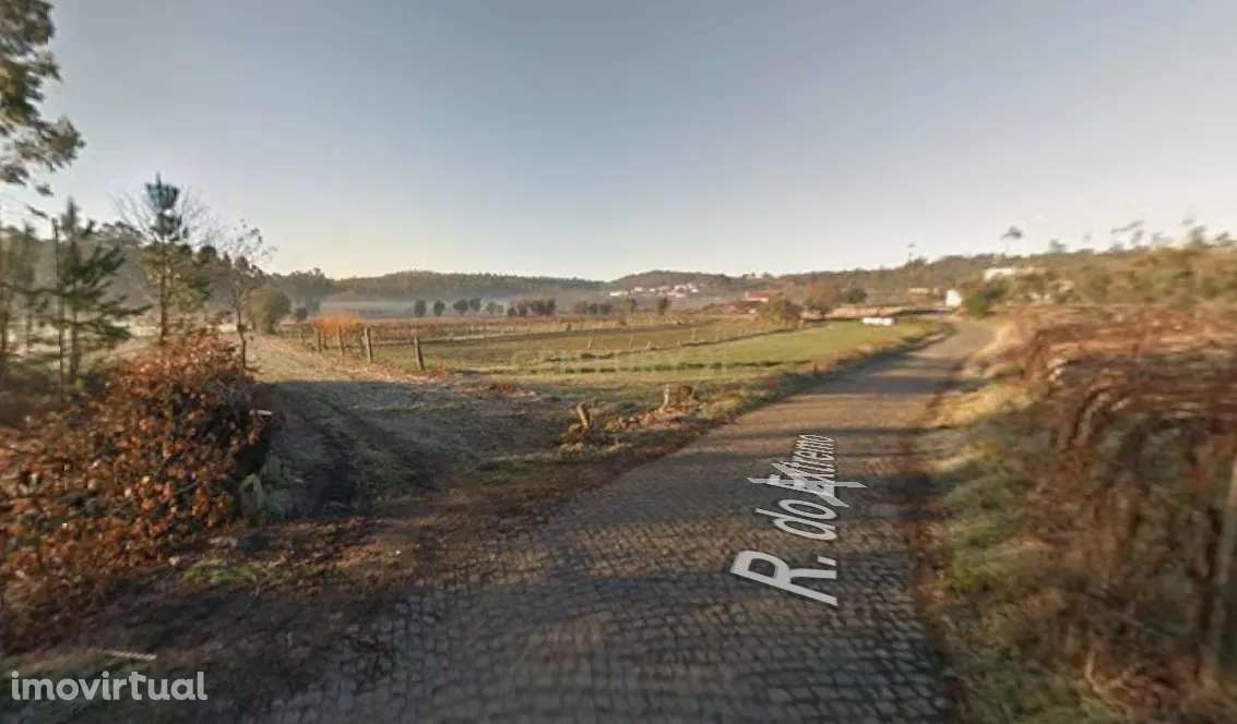 Terreno rústico em Curvos – Sítio da Abelheira - Grande imagem: 2/4