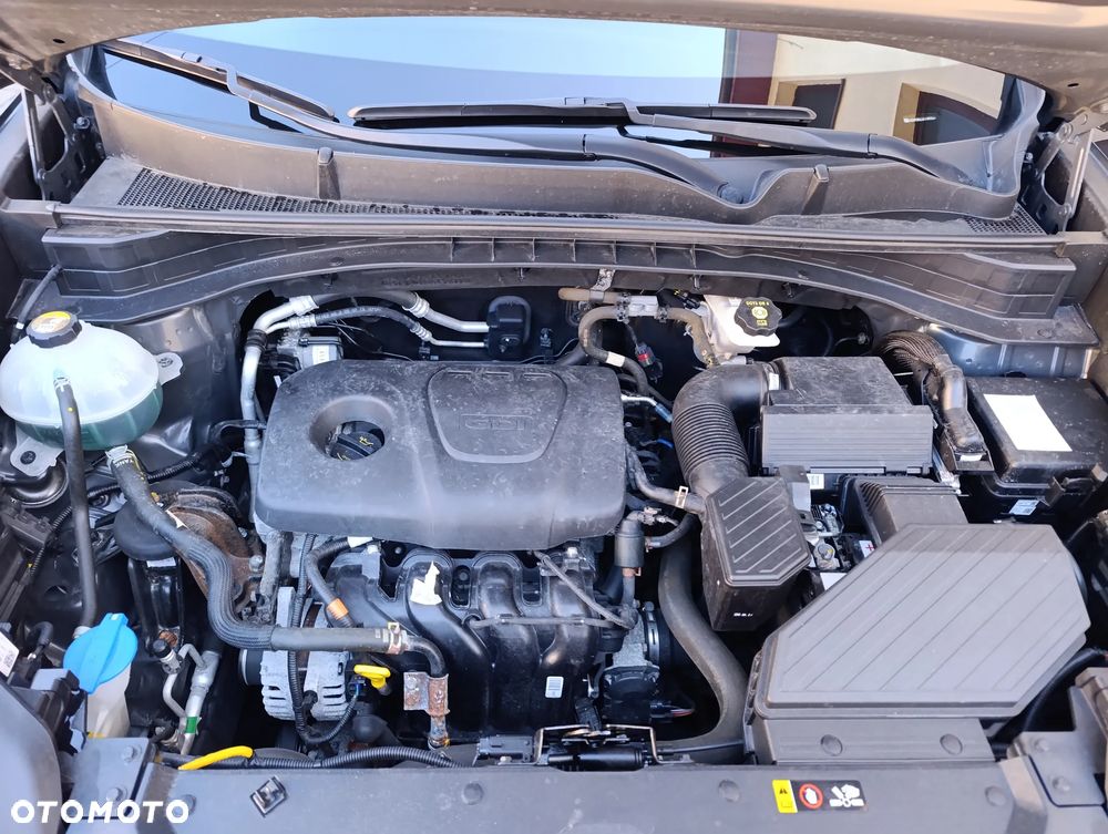Kia Sportage - 29